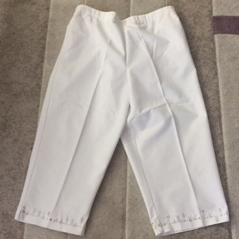 Alfred dunner pants